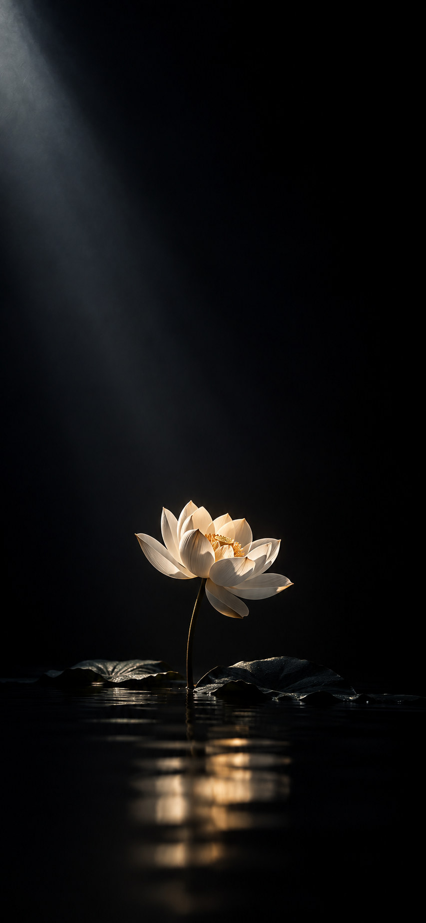 Moonlit Lotus iPhone wallpaper